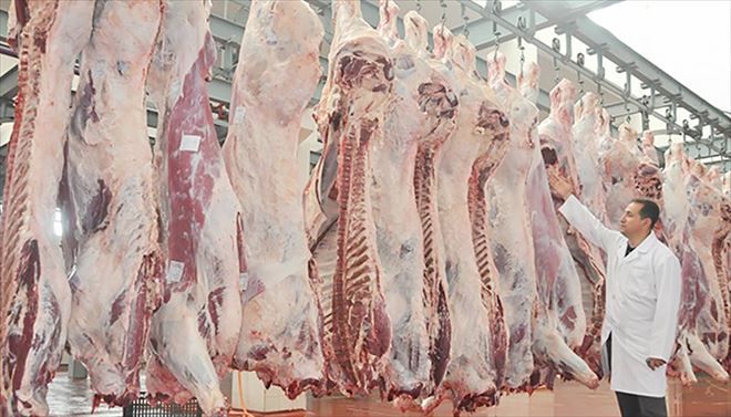 Kırmızı et üretimi 2016´da % 2,0 arttı