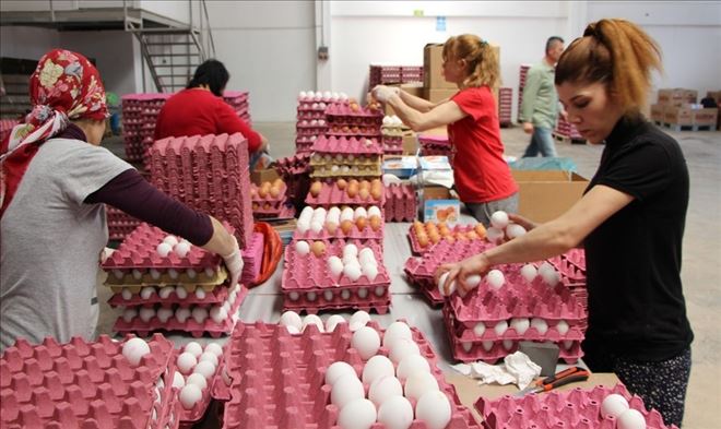 Bandırmalı yumurta üreticileri dertli