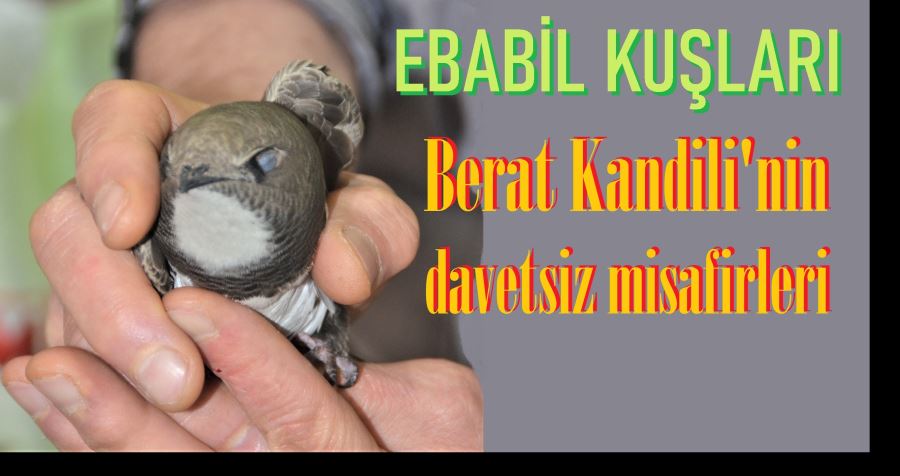 BERAT KANDİLİ EBABİLLER LE GELDİ.