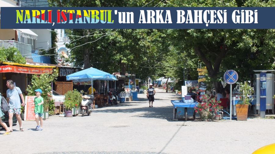 Narlı, İstanbulluların gözdesi