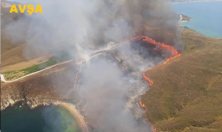 Avşa Adasında arazi yangını