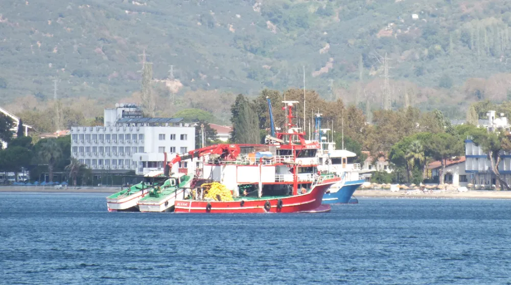 Marmara Denizi’nde ekosistem bozuldu