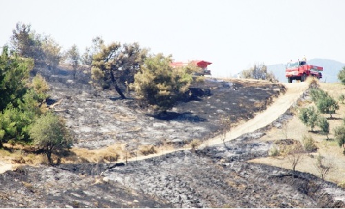 Karşıyaka`da ki orman yangınına olağan üstü operasyon