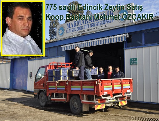 Edincik Zeytin Kooperatifi alımı bitirdi.