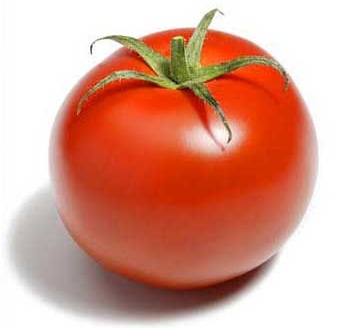 Yıkamadan yenilen domates üretildi