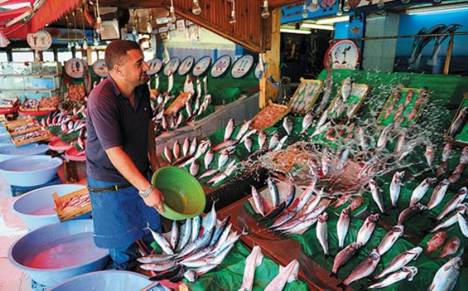 Balık Fiyatları arttı.