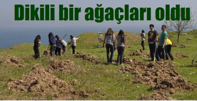 Anadolu Öğretmen lisesi ağaç dikti