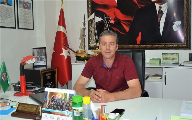 Zeytin Güvesinde Mücadele süreci başladı.