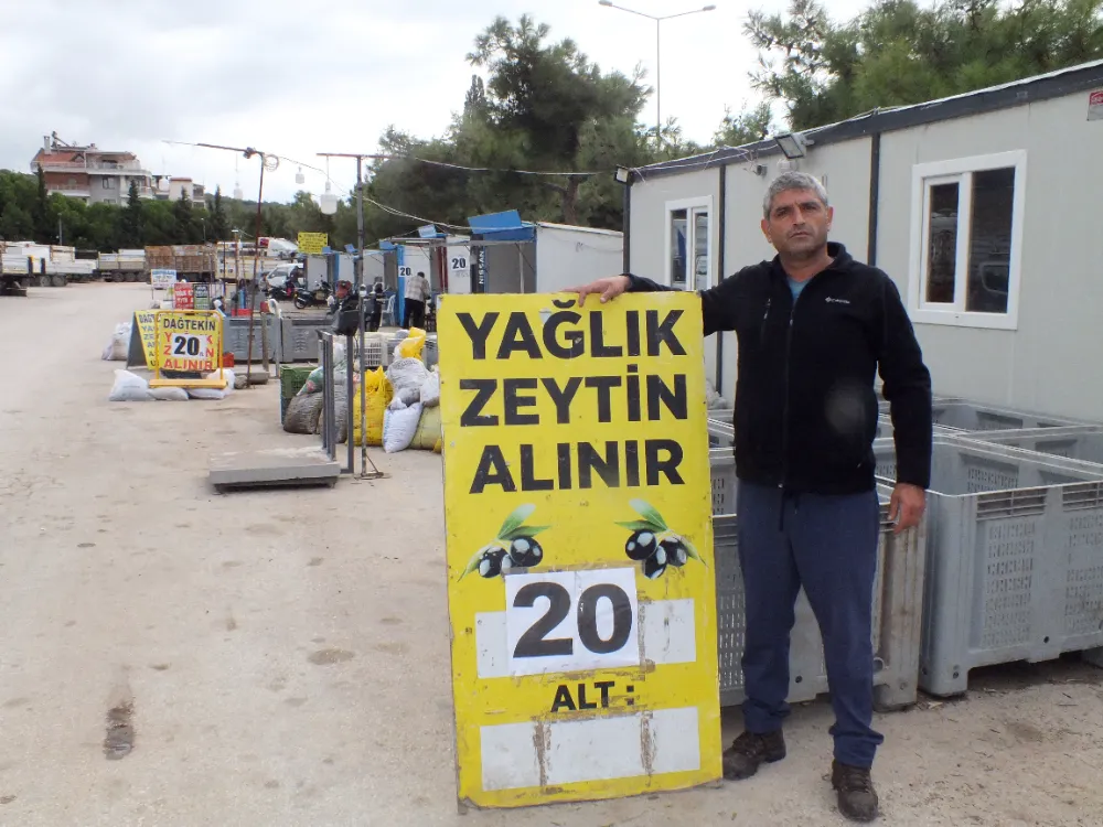 Yağlık Zeytin Borsası dolu dizgin