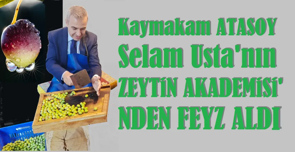 Kaymakam, zeytin üstadı SELAM usta