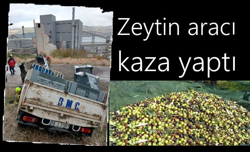 Zeytinci