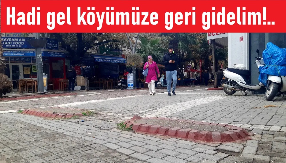 30 yıl önce caddeyi süsleyen çiçeklikti!...