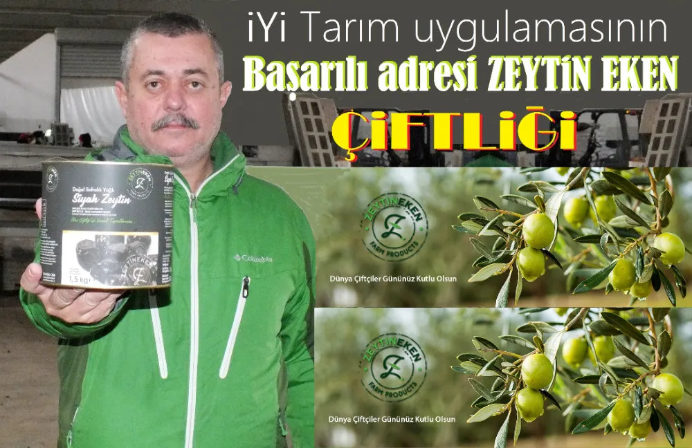 Tarımda parlayan kuruluş: “Zeytin Eken”