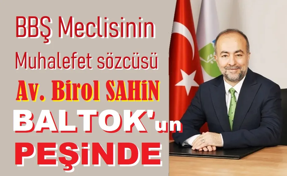 Şahin, 