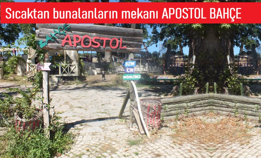 Apostol farkı