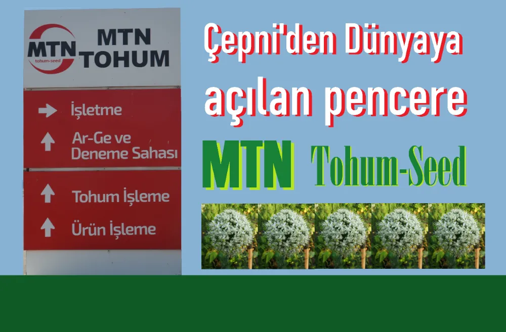 Ülkemizin gururu: MTN Tohum