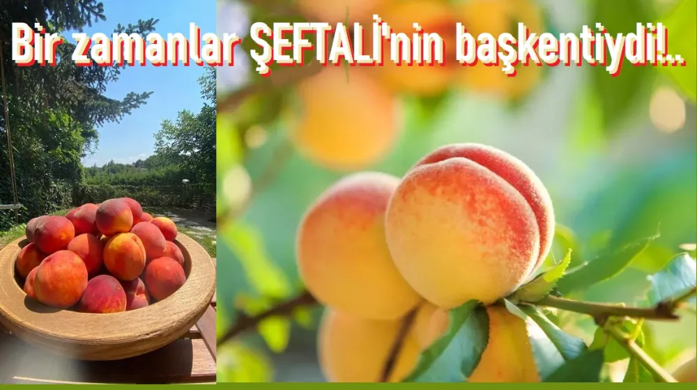 Bir zamanlar ŞEFTALİ diyarıydı.