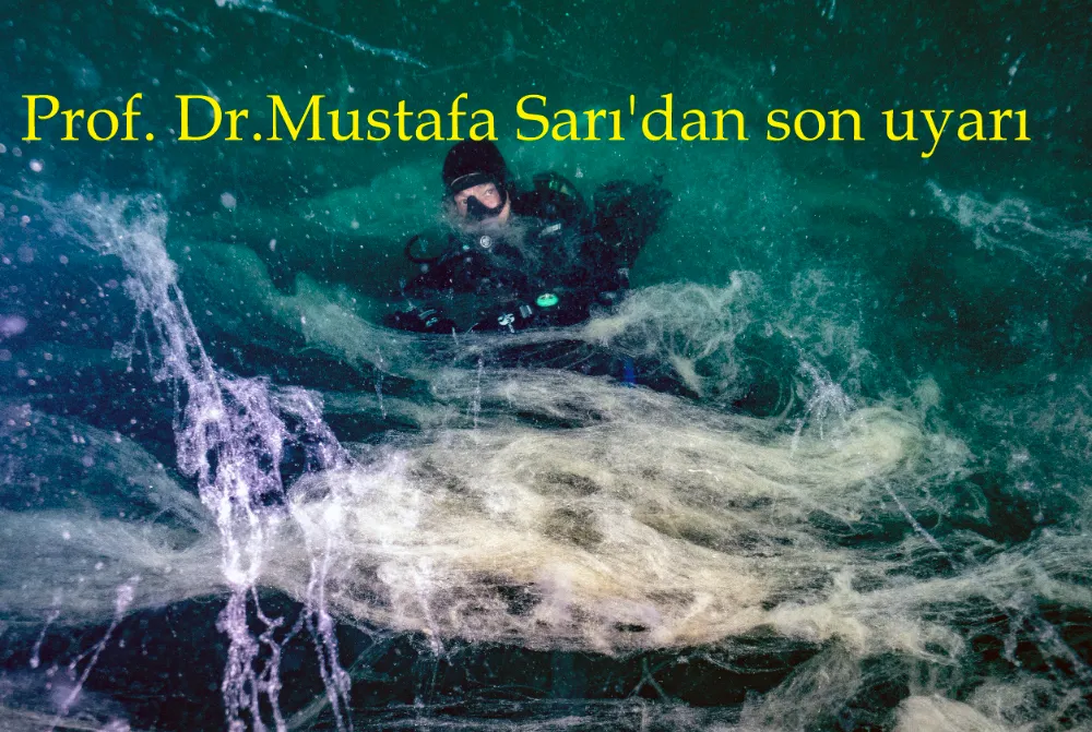 Prof. Dr. Mustafa Sarı