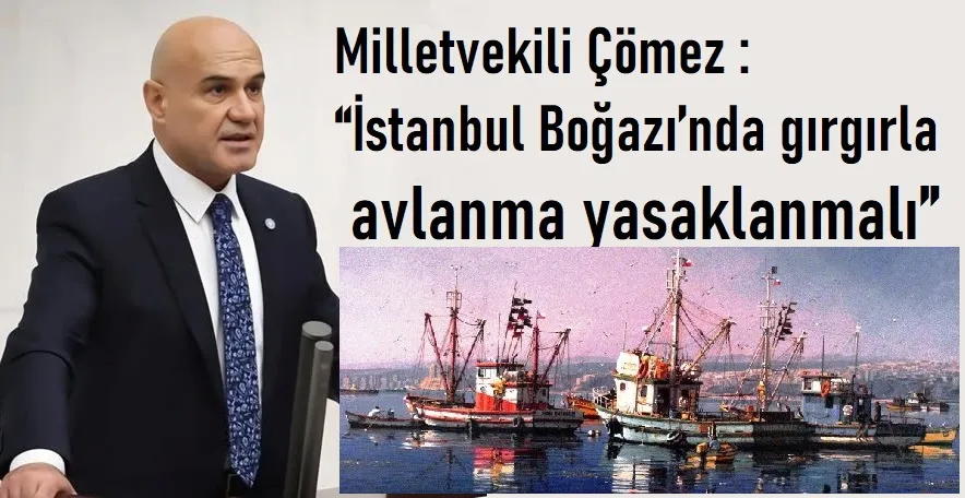 Milletvekili Çömez : “İstanbul Boğazı’nda gırgırla avlanma yasaklanmalı”