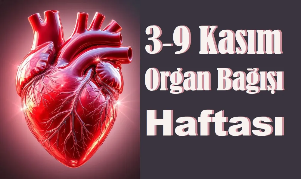 ÜLKEMİZDE ORGAN NAKLİ BEKLEYEN HASTA SAYISI ALARM VERİYOR!