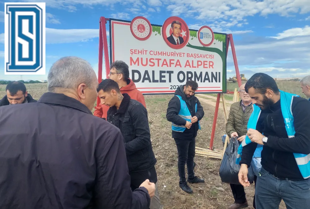 Denetimli Serbestlik 