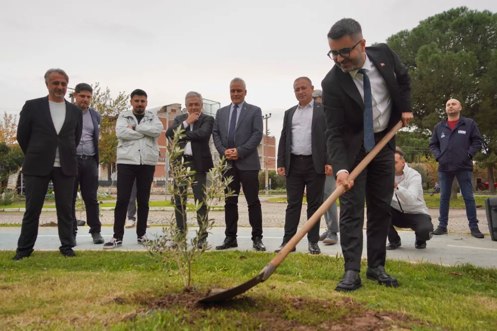 Kar Spor İda Ultra öncesinde zeytin fidanları toprakla buluştu