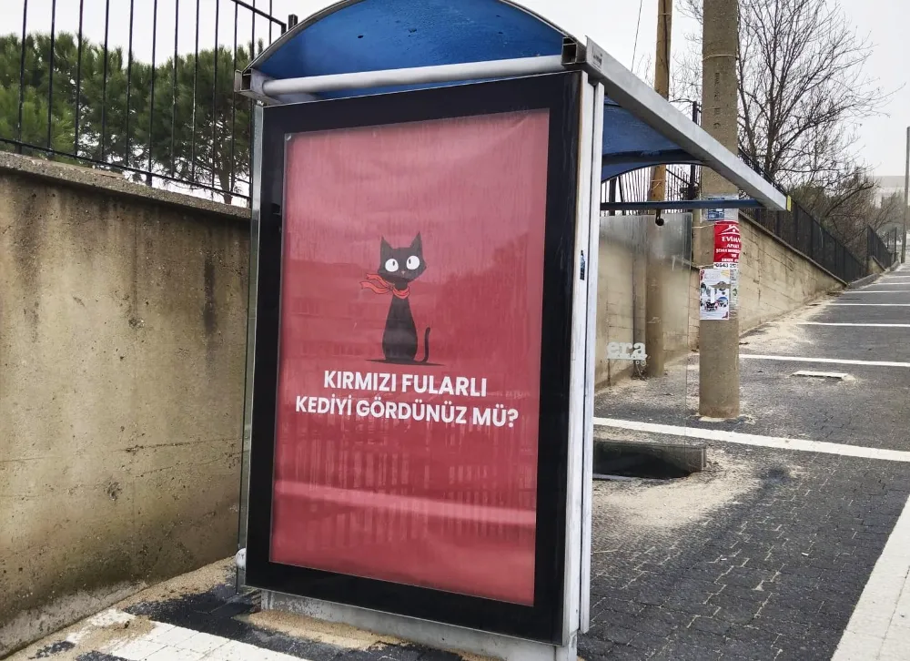 “Kırmızı fularlı kedi”nin gizemi!