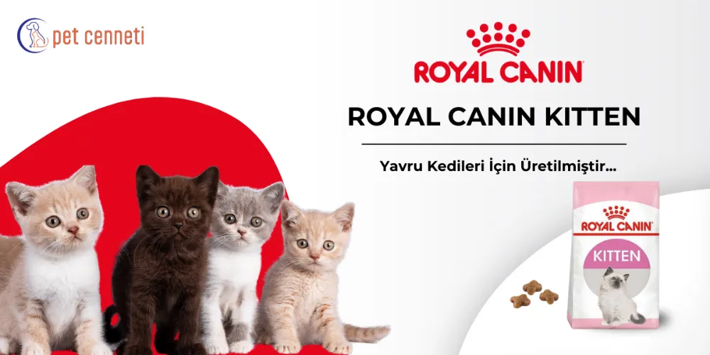 Yavru Kediniz İçin Royal Canin Kitten Mamalarıyla Kusursuz Beslenme