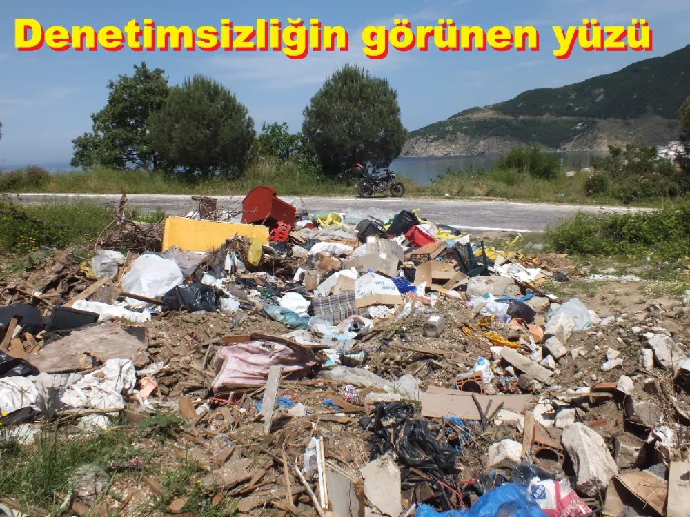 Ormanlı, kaçak yapılanmanın başkenti