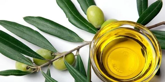 SAHTE ZEYTİNYAĞLAR AÇIKLANDI