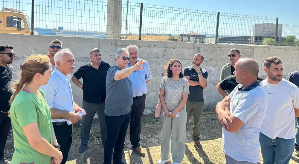SOKAKTAKİ CANLAR İÇİN YENİ YAŞAM ALANI
