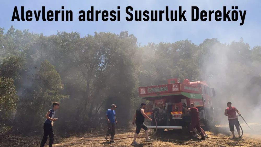 Dereköy