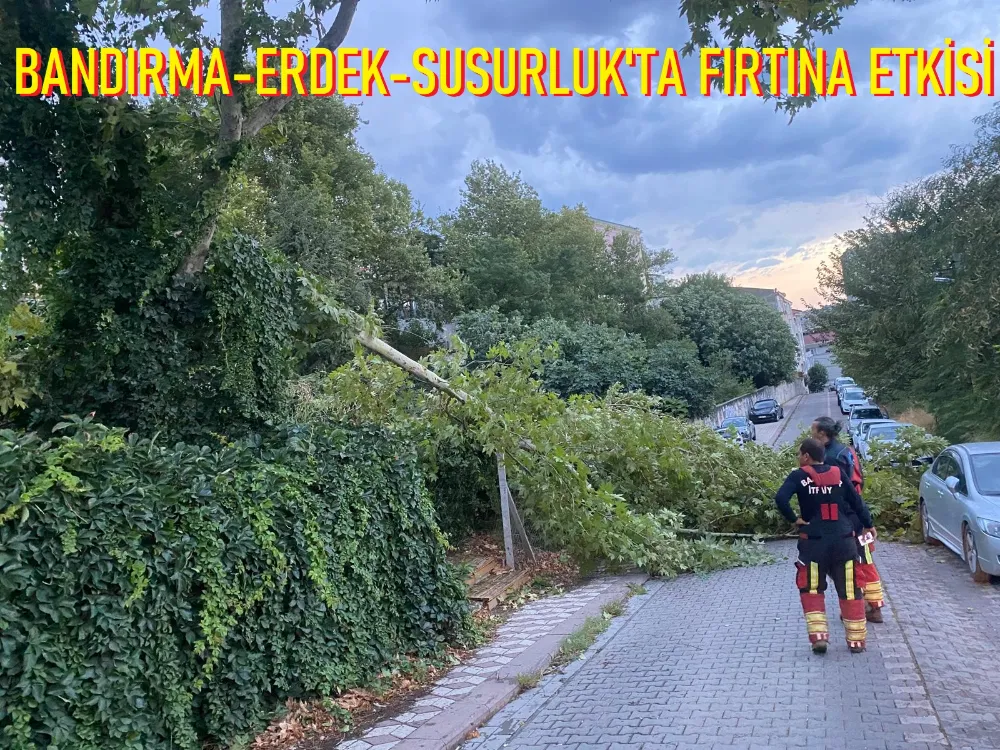 Şiddetli fırtına ağaçları kökünden söktü