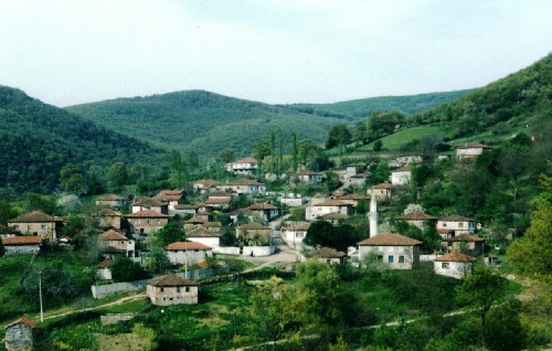 Koçbayır Köyü Gürcü Şenliği 20 Ağustos