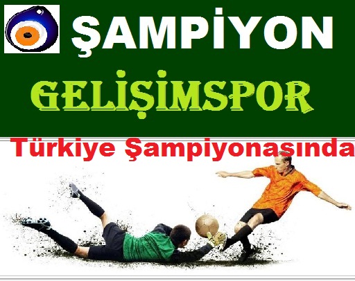 Gelişim Türkiye şampiyonasında