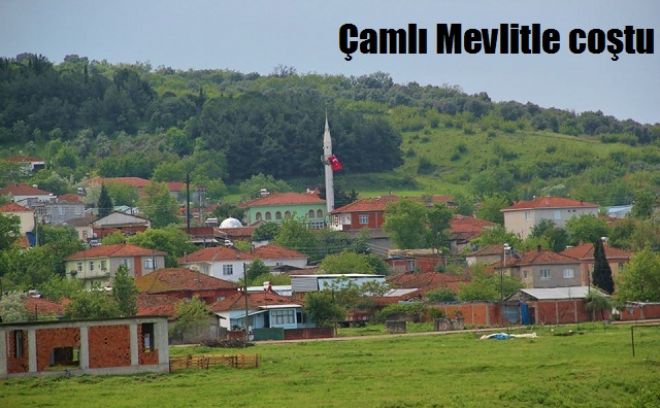 Çamlı`da kutlu doğum