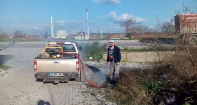 Bandırma Belediyesinden lavra mücadelesi