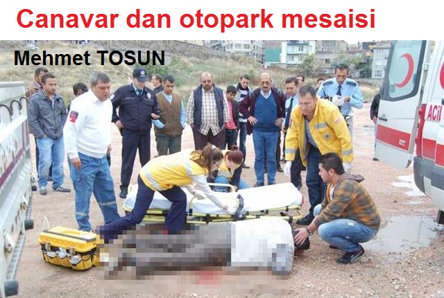 Trafik canavarından otopark mesaisi