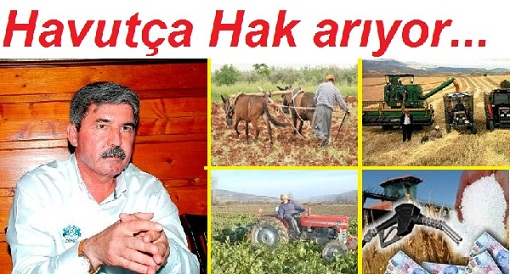 Havutça bu kez Tarımda Girdi Maliyetlerinin Araştırılmasını İstedi